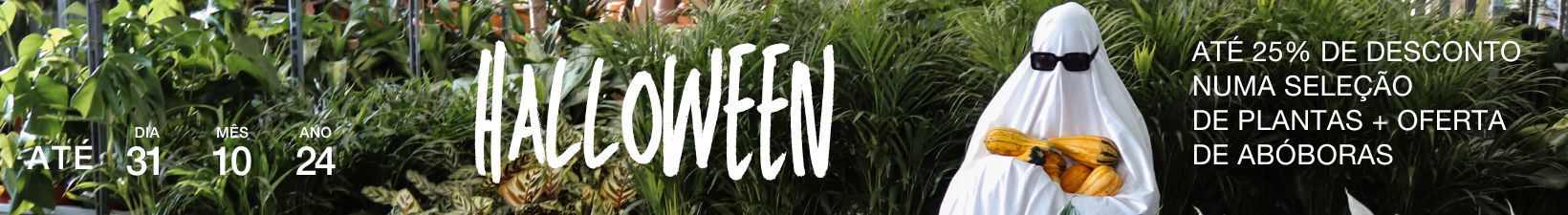 Halloween Bioma plants Descontos em plantas desktop